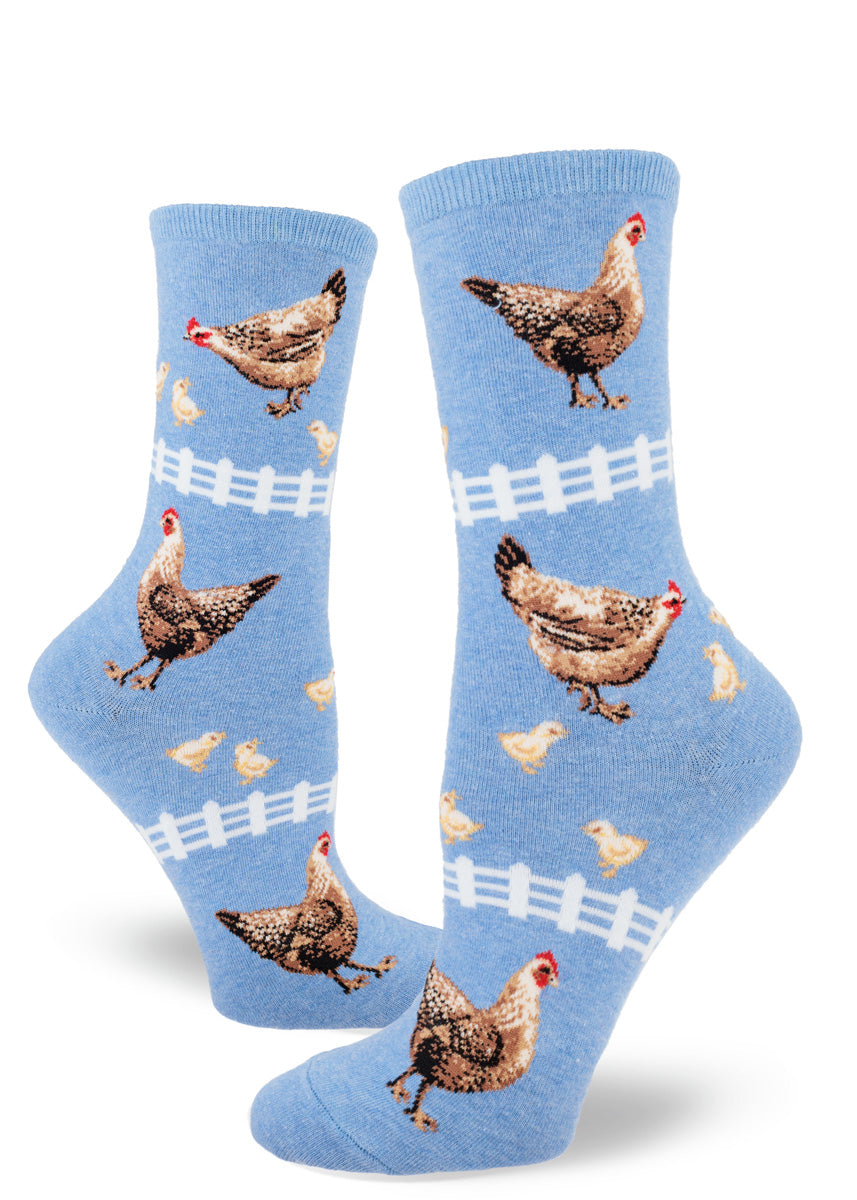 Novelty chicken socks for women with hens, chicks and white picket fences on a soft blue background,