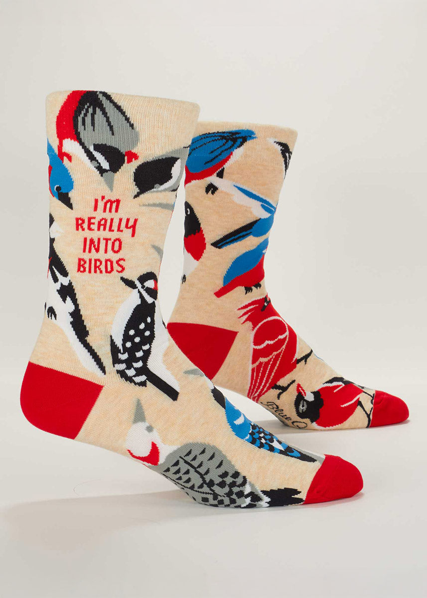 Really Into Birds Men's Socks