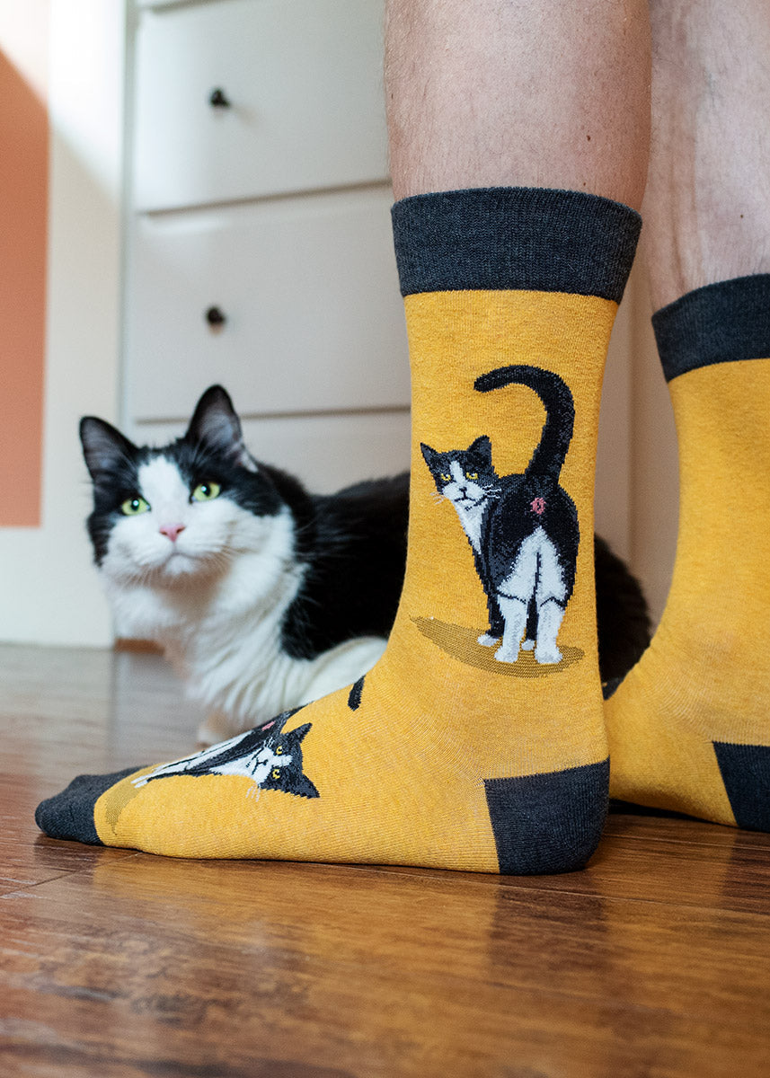 Tuxedo Cat Butt Men's Socks